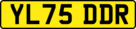 YL75DDR