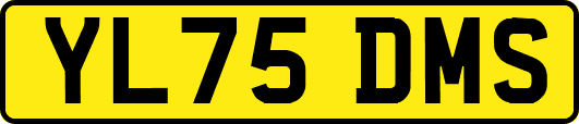 YL75DMS