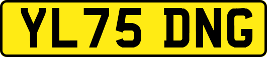 YL75DNG