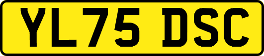 YL75DSC