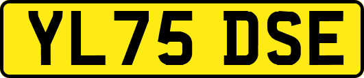 YL75DSE