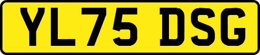 YL75DSG