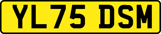 YL75DSM