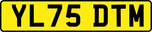 YL75DTM