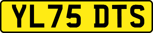 YL75DTS