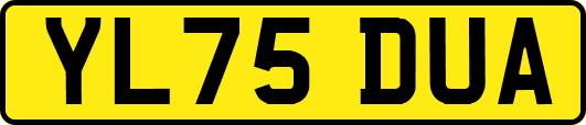 YL75DUA