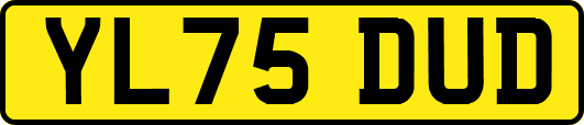 YL75DUD