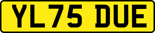 YL75DUE