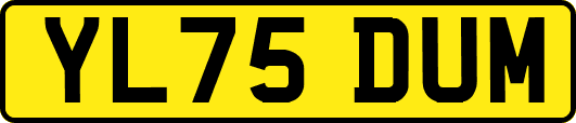 YL75DUM