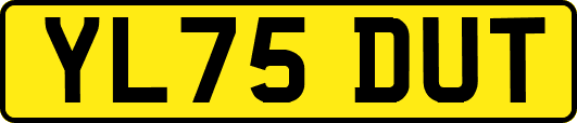 YL75DUT