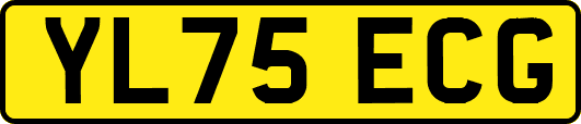 YL75ECG