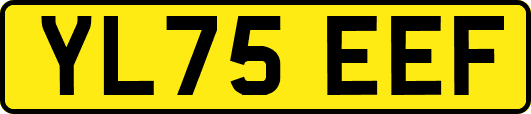 YL75EEF