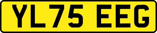 YL75EEG