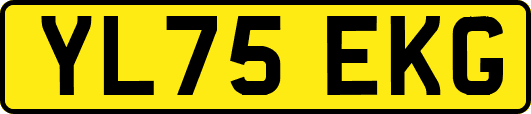 YL75EKG