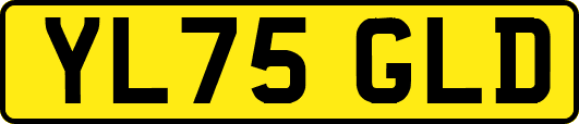 YL75GLD