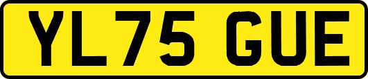 YL75GUE