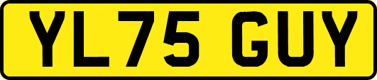 YL75GUY