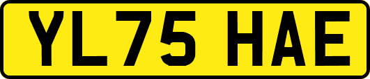 YL75HAE
