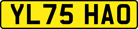 YL75HAO