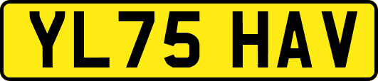 YL75HAV