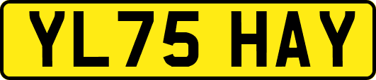 YL75HAY