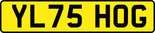 YL75HOG