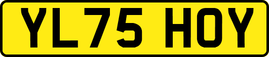 YL75HOY