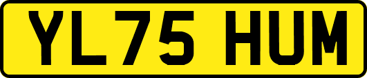YL75HUM