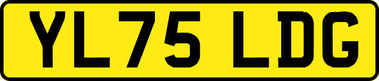 YL75LDG