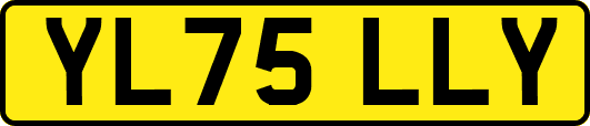 YL75LLY
