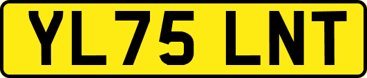 YL75LNT