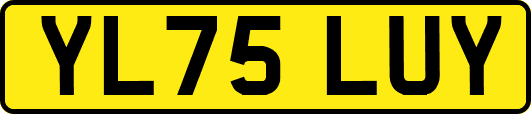 YL75LUY