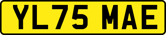 YL75MAE