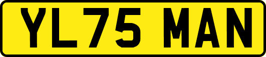 YL75MAN