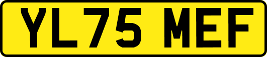 YL75MEF