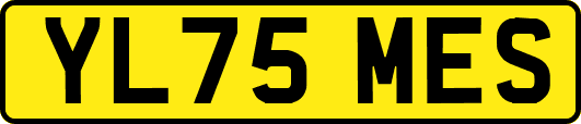 YL75MES