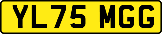 YL75MGG
