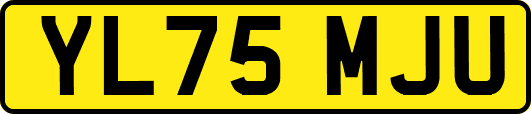 YL75MJU
