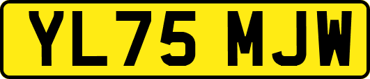 YL75MJW