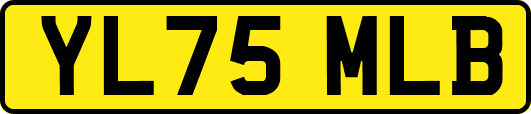 YL75MLB