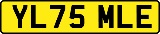 YL75MLE