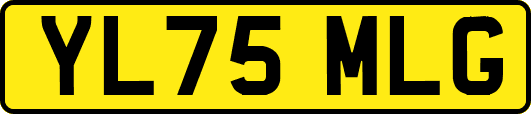 YL75MLG
