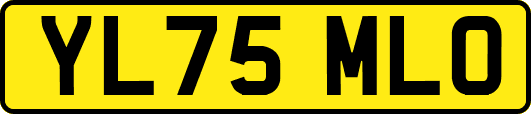 YL75MLO
