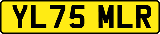 YL75MLR
