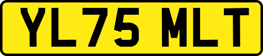 YL75MLT