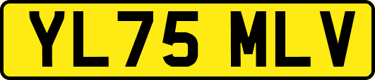 YL75MLV