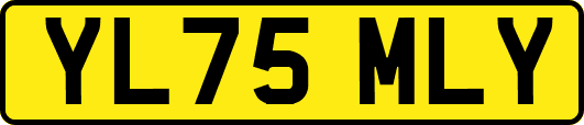 YL75MLY