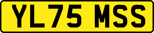 YL75MSS