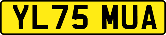 YL75MUA
