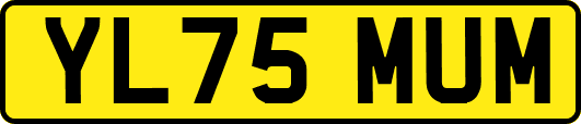 YL75MUM